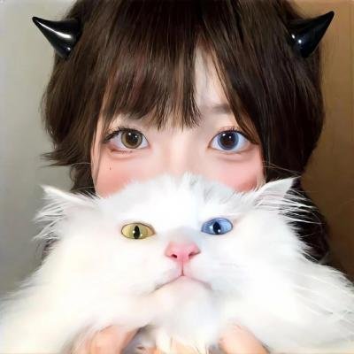 人来客往